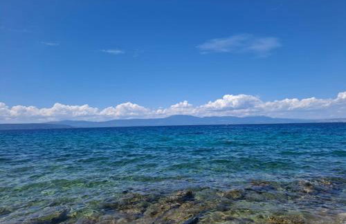 FoREST Heritage Apartment - Foto 49