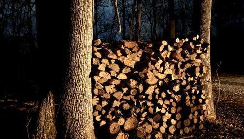 Lakefront Cabin with Fire Pit in Carbondale, Illinois - Foto 3