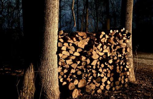 Lakefront Cabin with Fire Pit in Carbondale, Illinois - Foto 3