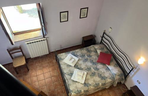 Marco & Andrea Agriturismo Collepina - Foto 38