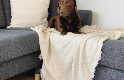 Stylish Self-contained Countryside Accommodation - Foto 38