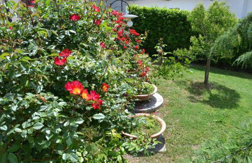 Agriturismo La Ghiraia - Foto 30