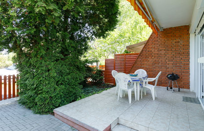 Mathias Rex - Foto 12