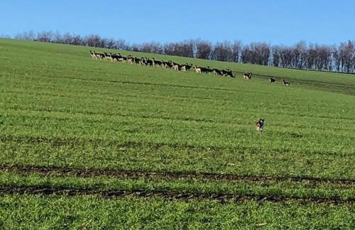 Private Island Glamping on riverbank with Hot tub - Foto 13