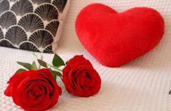 Le cocon San Francisco - Photo 17