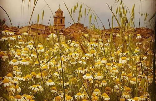 LES LLÚDRIGUES Casa Loft con aire ac y terraza - Foto 62