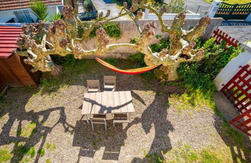 Joli T3 Pays Basque Tarnos Landes - Foto 18