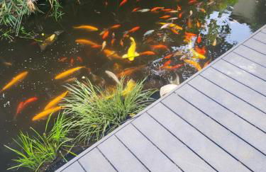 Chambre d'hôtes les Angles 30133 Possibilité jacuzzi - Foto 29