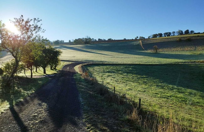 Gasthaus Paula App. C - Photo 12