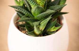 Le Chic & Familial, 2 Chambres, Idéal Familles & Pros - Foto 11