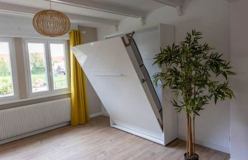 Maison Privilège Nature à La Petite Pierre - Foto 15