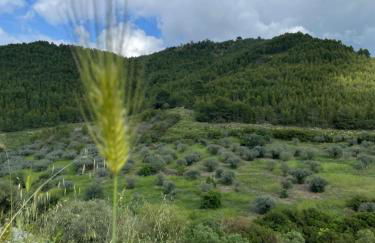 Le Case Di S. Andrea - Foto 15