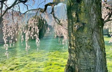 Paradiso sul lago - Foto 3