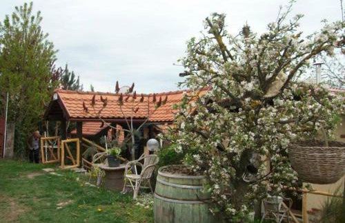 Kuća sa apartmanima Šemnica - za odmor i proslave! - Photo 15