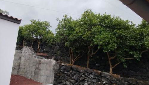 Aldeia da Gingeira - Photo 4