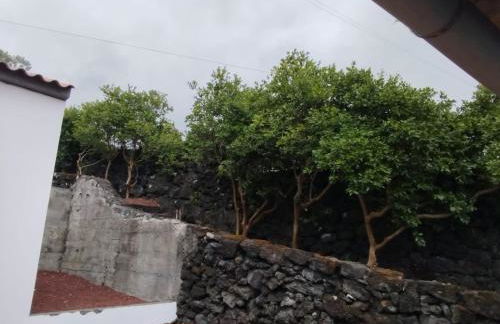 Aldeia da Gingeira - Photo 4