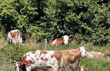 A cjase di Luca - Photo 29