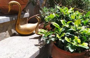 Sunny Days beach house - Photo 8