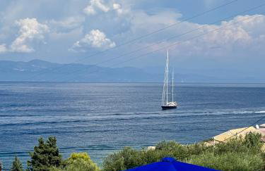 Villa Avgerini Paxos - Photo 42