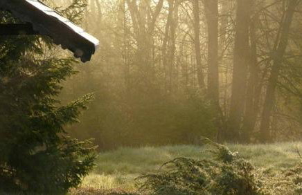 Siedlisko Szwałk - Foto 24