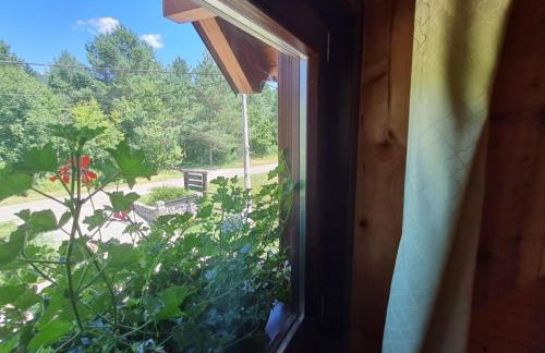 Apartments Plitvice forest - Two Bedroom Apartment with Terrace - Foto 23