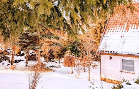 Świerkowe Ranczo Raciszewo - Foto 49