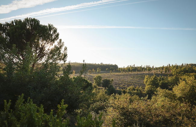 I Love Dão - Casas Da Fraga - Photo 36