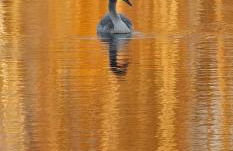 Ferienhaus Kiara - Foto 25