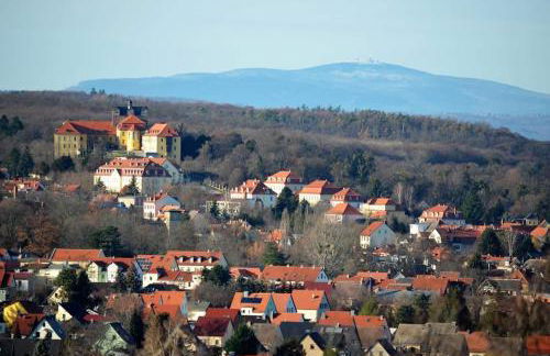 Villa Harzblick - Foto 35