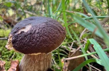 Przystanek Prawdowo - Foto 51