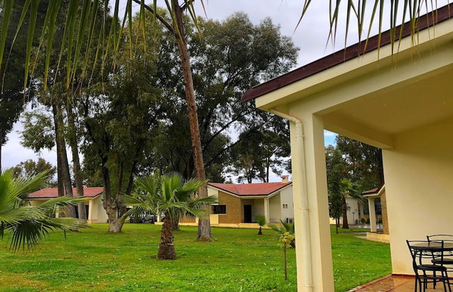 Diamant Vert - Photo 52