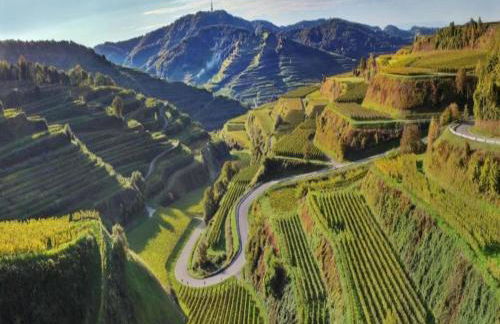 Holiday Apartment Monet in Oberrotweil - Foto 54