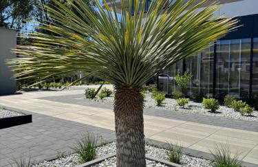 Apartment Plaża 41 by the sea - Photo 4