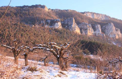 Gîte La Cerise Qui Rit - Photo 57