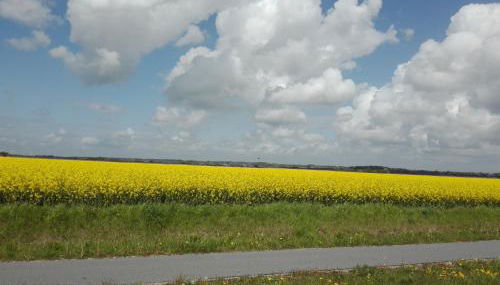 Ferienwohnung Kreider - Foto 3