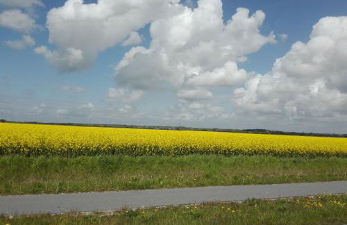 Ferienwohnung Kreider - Foto 3