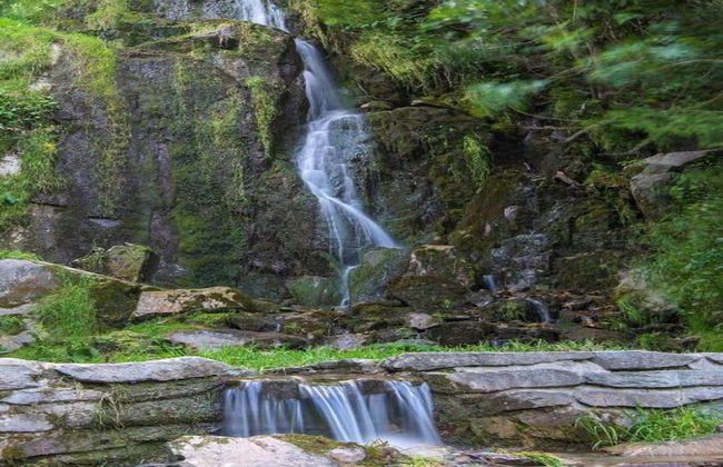 Forest Stay in Elbingerode - Foto 30