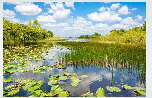 Villa Oasis 3 Miles to Hard Rock Stadium & Casino, Guitar Hotel Nearby, Pool, Game Room, Sleeps 12, 15 Min to Beach - Foto 50