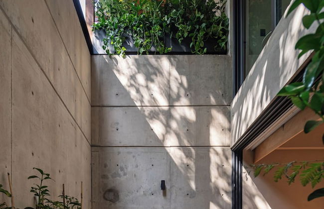 Ana Polanco Apartments - Foto 19