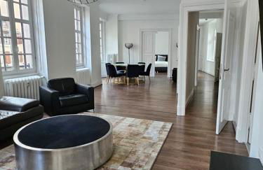 Superbe appartement 140 m2 plein centre-ville de Strasbourg - Photo 7