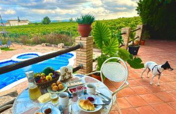 Mas del Drac - Foto 1