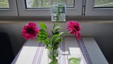 Apartment Vinka - Foto 4