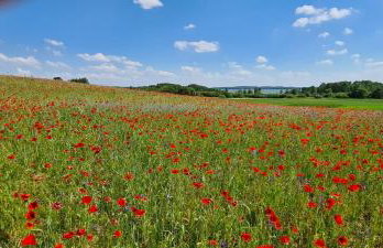 Domek Mazury - Jezioro Orzysz - Foto 49