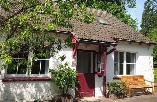 Das purpur Haus für Dich alleine! - Foto 1