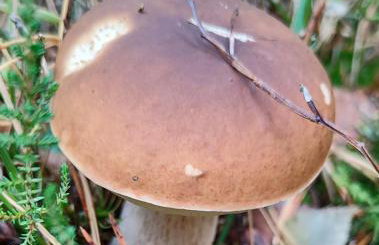 Mazurski oddech - Foto 37