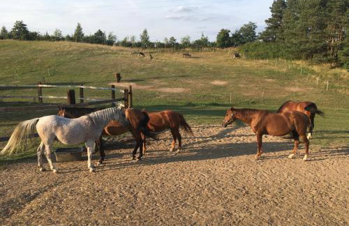 Toskania Kociewska - Photo 56