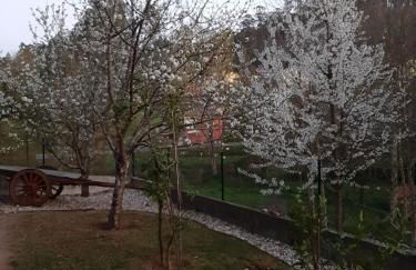 Quinta do Tojal - Tourism immersed in nature! - Foto 24