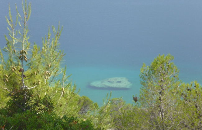 Villa With Private Beach - Photo 23