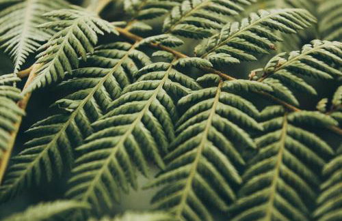 Wildgrün Panorama Lodge 18 - Foto 14