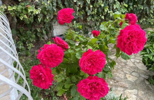 Apartment in Maslinica 70m from the sea - Photo 80